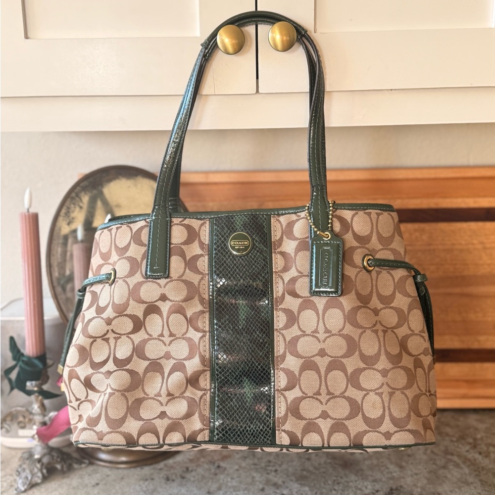 Coach Brown and Green Signature Tote